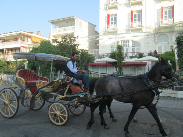Horse-drawn carriages are a popular tourist experience
